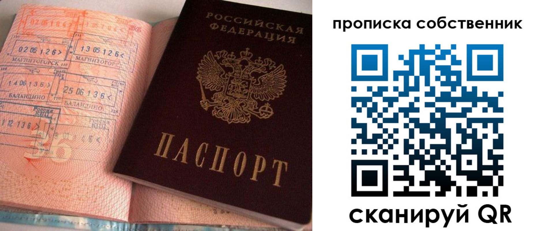 прописка в Курске